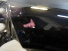 VW Tiguan 5N Kotflügel vorne links, Seitenwand vorne links Farbcode: LC9X Deep Black Perl VW Tiguan 5N Kotflügel vorne links, Seitenwand vorne links Farbcode: LC9X Deep Black Perl