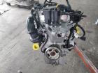 Ford Focus CGE DEH Bj.2021 Motor 1,0T/92Kw Hybrid MC.B7DC 0431