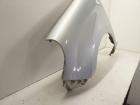 Renault Kangoo Bj.2009 Kotflügel Links TEB64 Gray Sideral Lackiert
