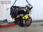 Ford Focus Typ DFW/DNW; Motor; Engine; ab 08/98-; Fxdd Ford Focus Typ DFW/DNW; Motor; Engine; ab 08/98-; Fxdd