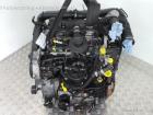 Peugeot 307 3A; 3C; Motor; Engine; ab 04/01-; RHS