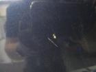 Mazda 2 DY Bj.2003 original Motorhaube blaumet. mit Grill Mazda 2 DY Bj.2003 original Motorhaube blaumet. mit Grill