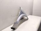 Citroen C3 Pluriel original Kotflügel vorn links silber aluminiumgrau Bj.2003