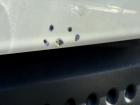 Fiat Panda 169 original Motorhaube 268 Bianco weiß BJ12
