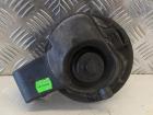 Skoda Fabia 2 5J Tankklappe Tankdeckel 5J6809857A LF7W Arcticgreen