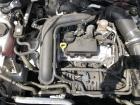 VW Golf 8 Viii CD Variant Motor Benzin 1.0TSI 81kw Dlaa nur 29tkm Test und Video