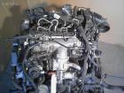 Motor mit Anbauteilen VW Jetta 2.0 TDI Schalter CBD