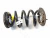 Tesla Model Y Performance original Schraubenfeder Hinterachse 1188475-00-D