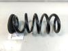Tesla Model Y RWD original Schraubenfeder hinten / Hinterachse Bj.2023
